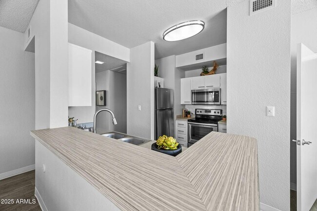 250 S Elizabeth Way Chandler, AZ 85225 photo 3