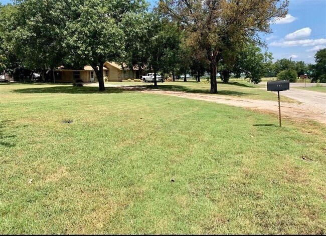 303 Aikens St Lipan, TX 76462 photo 3