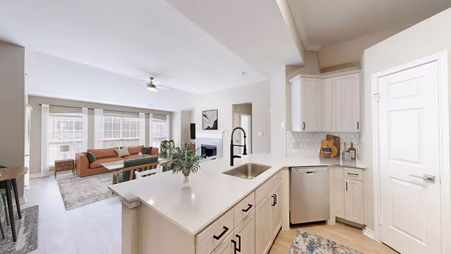 Lakeside at Coppell Apartments photo 3