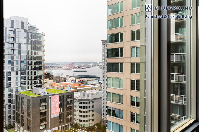 225 Cedar St Seattle, WA 98121 photo 5