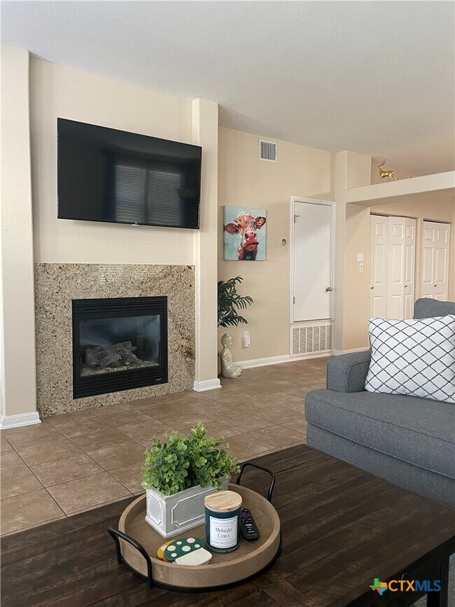 421 Shadow Point San Marcos, TX 78666 photo 4