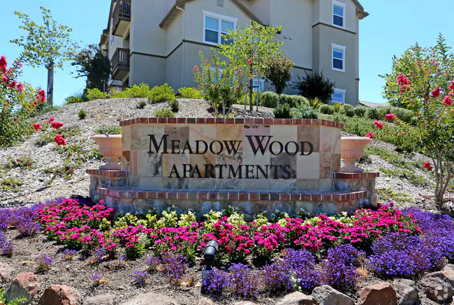Meadow Wood At Alamo Creek photo 5