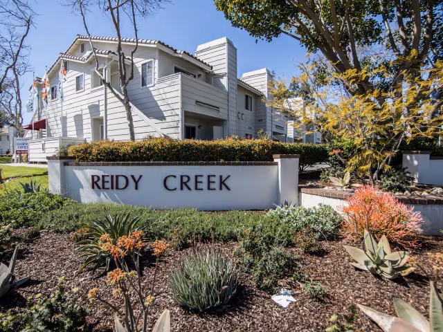 Reidy Creek photo 2