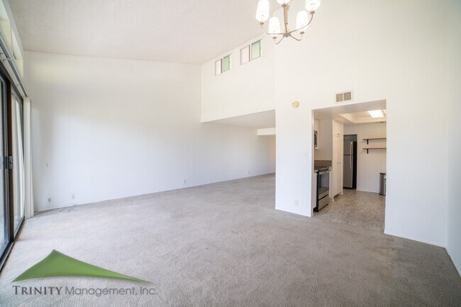 2564 Navarra Dr Carlsbad, CA 92009 photo 5