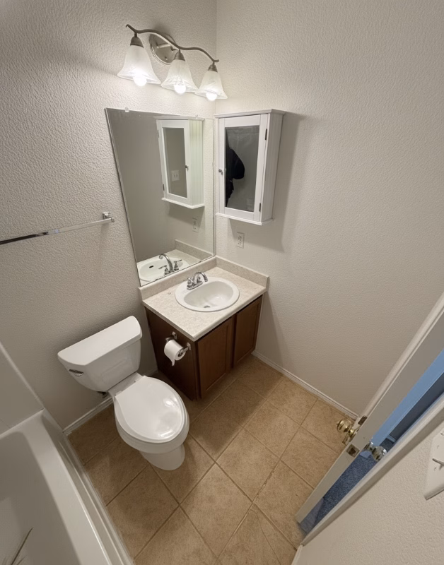203 Brooke St Hutto, TX 78634 photo 3