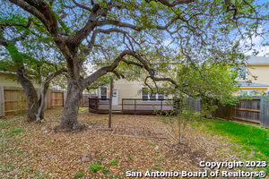 170 Red Hawk Ridge San Antonio, TX 78258 photo 3