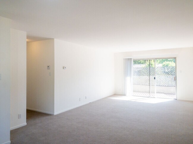 20 Tamalpais Avenue, San Anselmo, CA 94960 photo 3