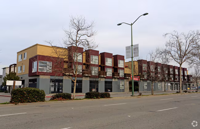 Chestnut Linden Court photo 3