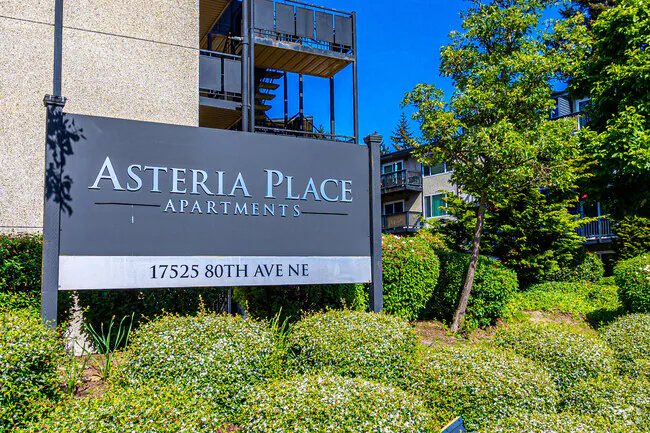 Asteria Place Apartments photo 2