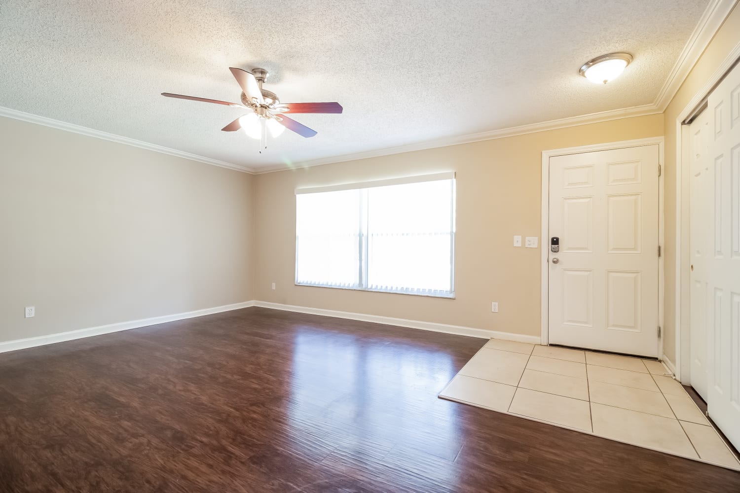 110 Centennial Dr photo 4