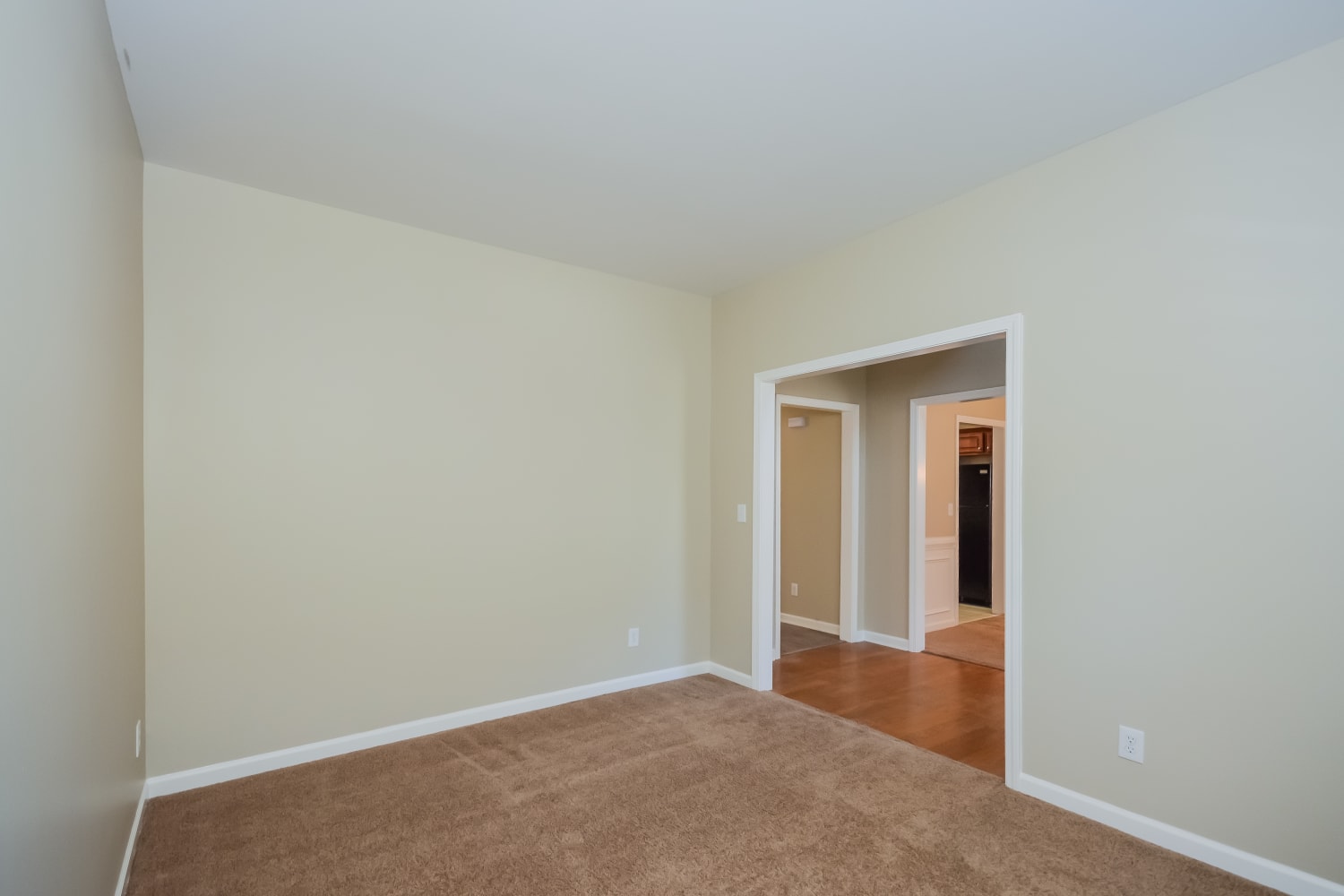 1419 Commonwealth Ln photo 4