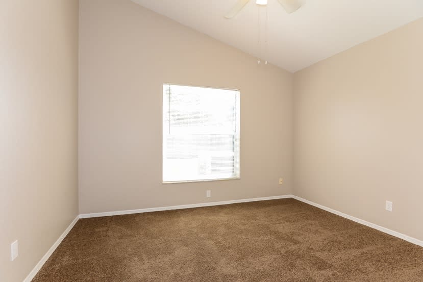 1314 Vinetree Dr photo 5