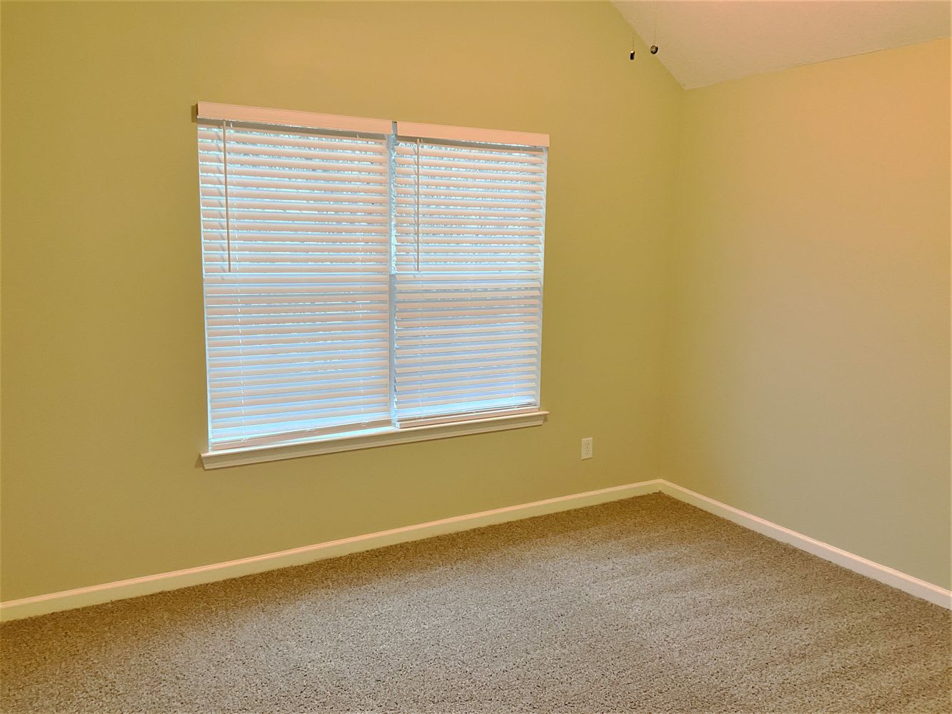 133 Hidden Creek Dr photo 5
