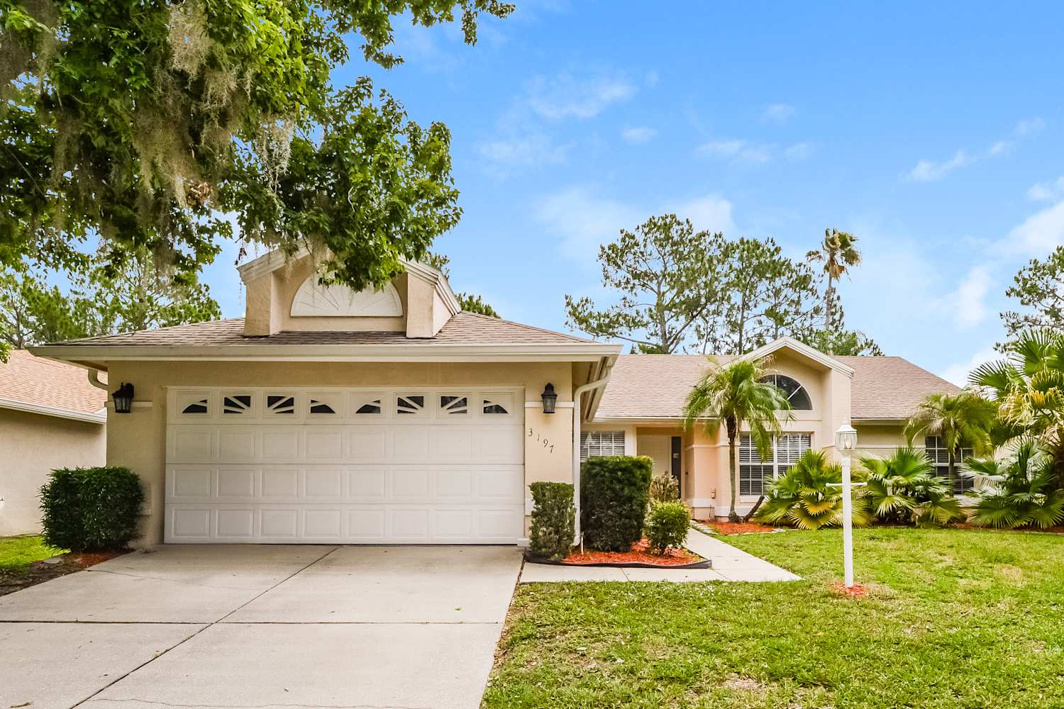 3197 Timucua Cir photo 2