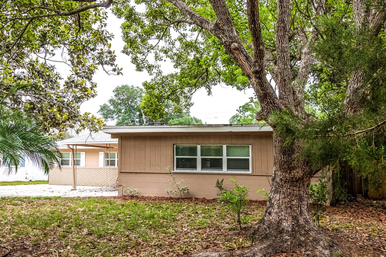 1546 Peruvian Ln photo 3