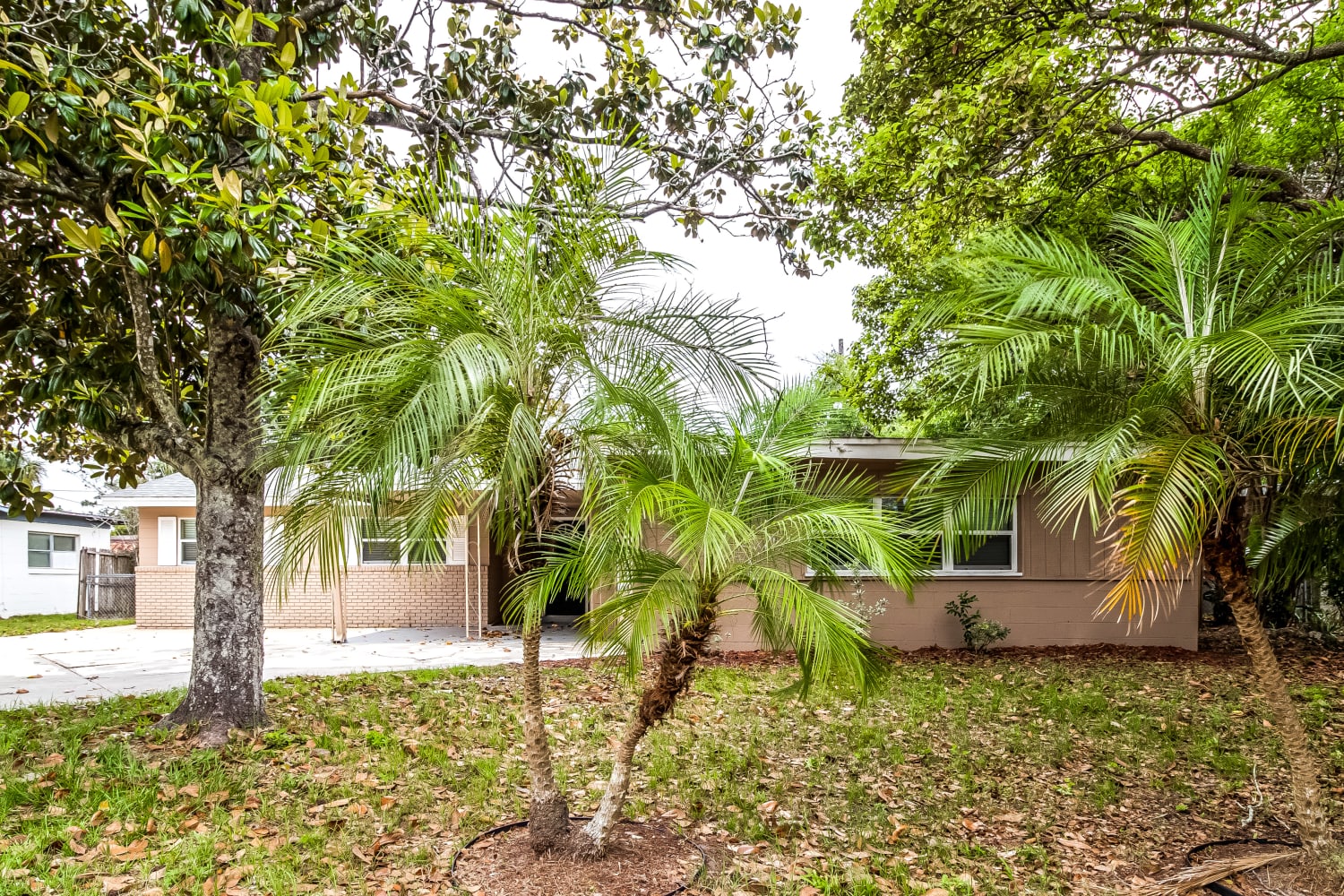 1546 Peruvian Ln photo 2