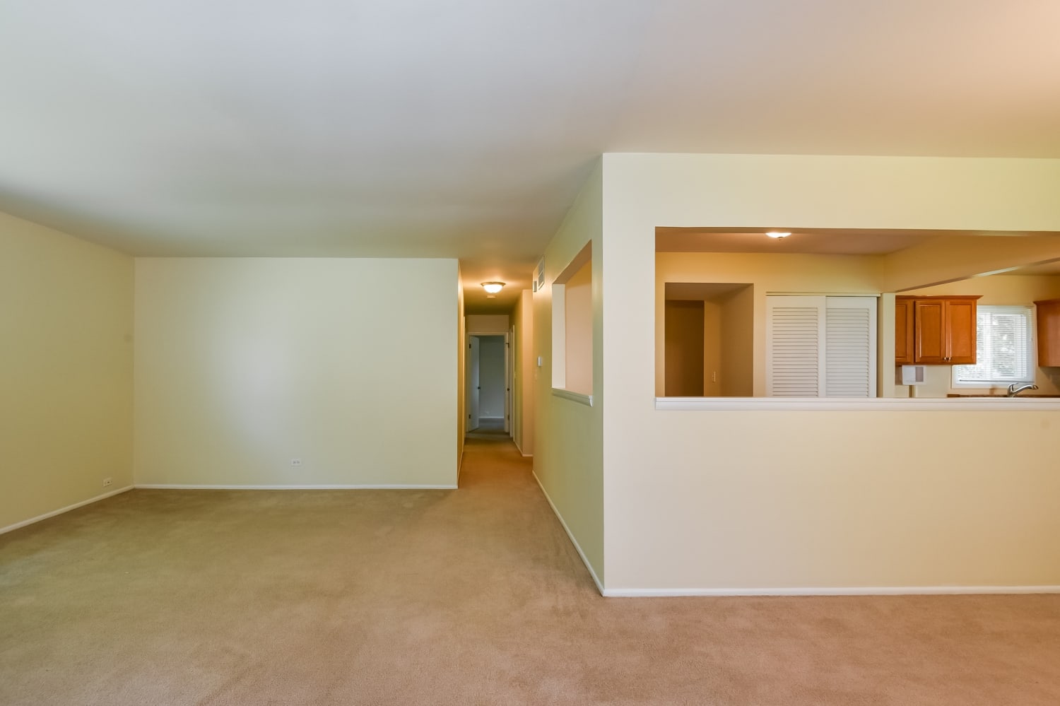 1571 Birch Ave photo 3