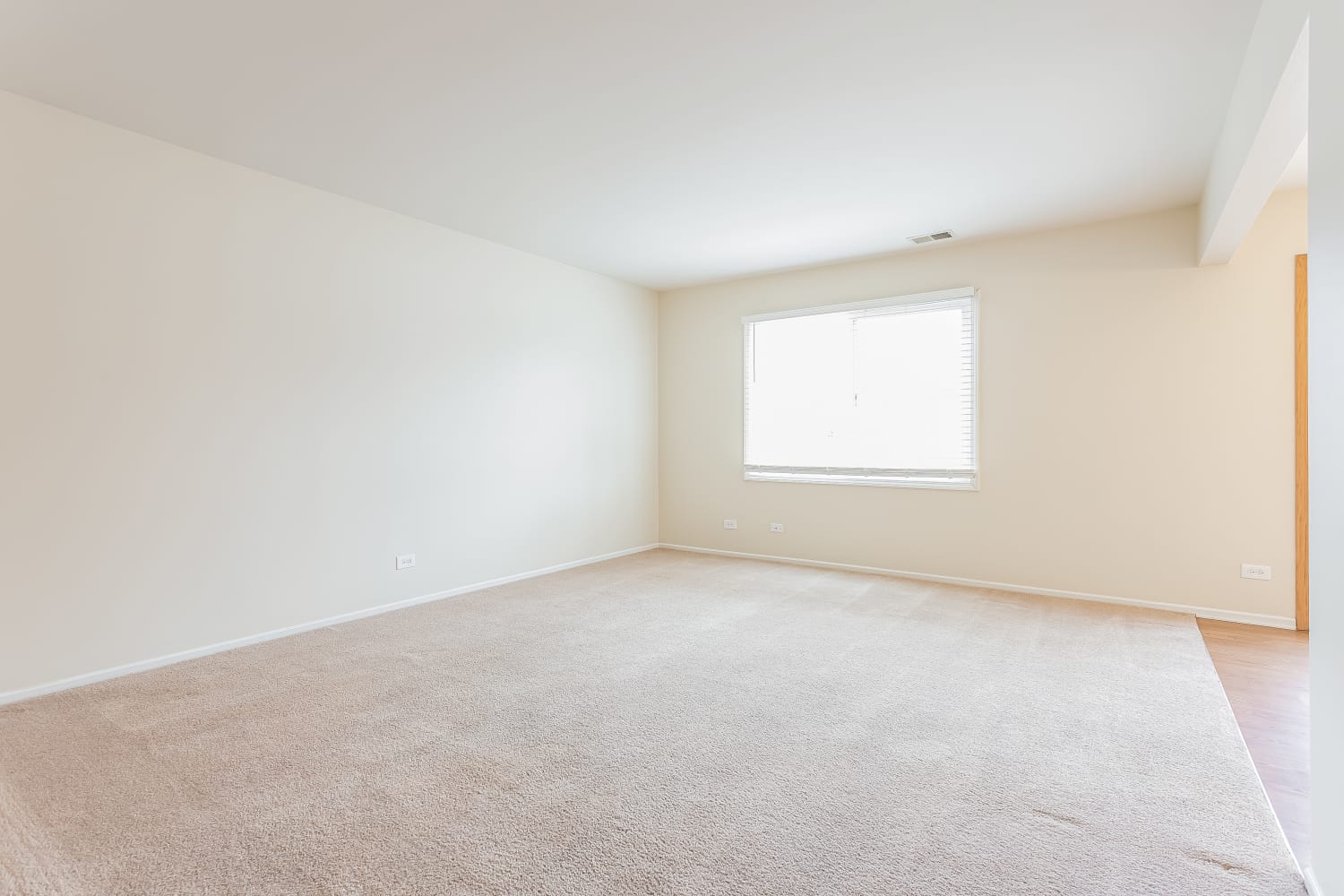 1684 Trafalgar Ln photo 4