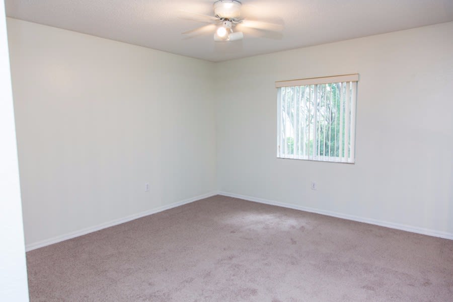 1823 Dockside Dr photo 3