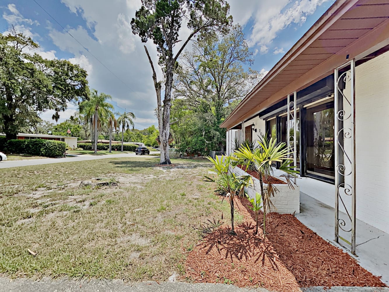 207 Redwood Ave photo 2