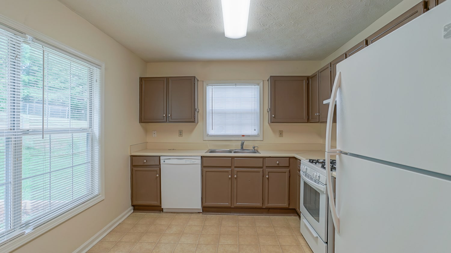 221 River Birch Dr photo 5