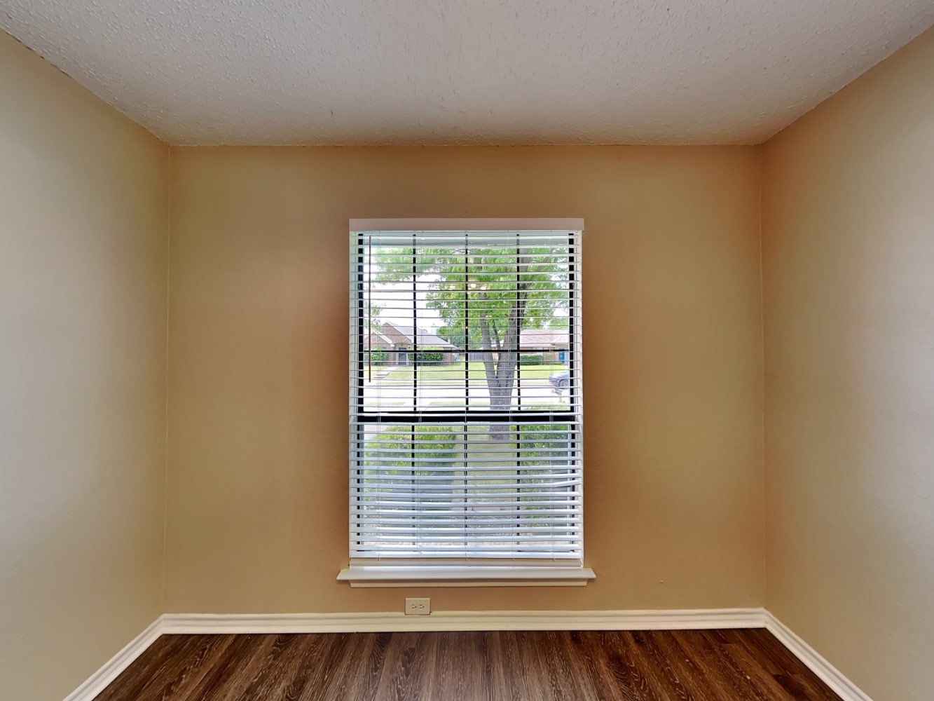 2306 Lakeshore Ln photo 4