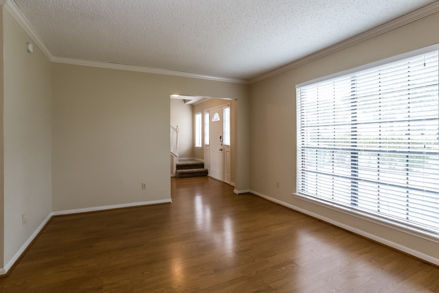 2818 Sea Ledge Dr photo 2