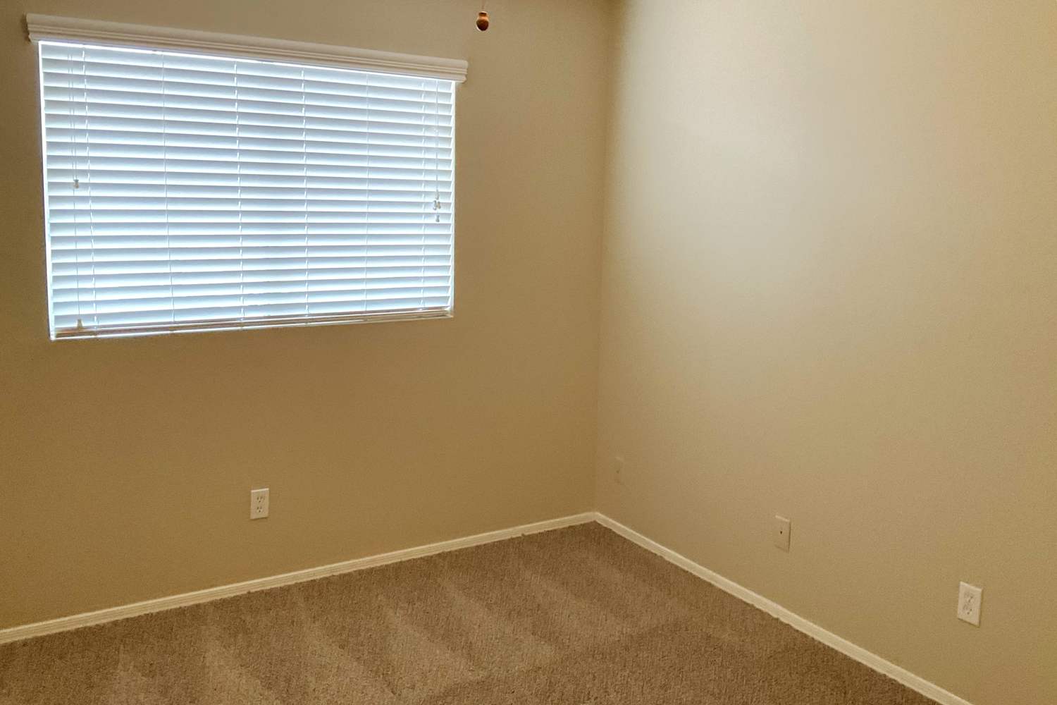 4103 E Arbor Ave photo 5