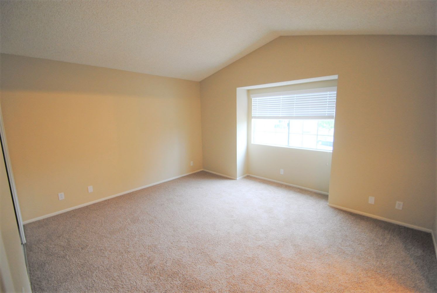 11903 Albion Way photo 4
