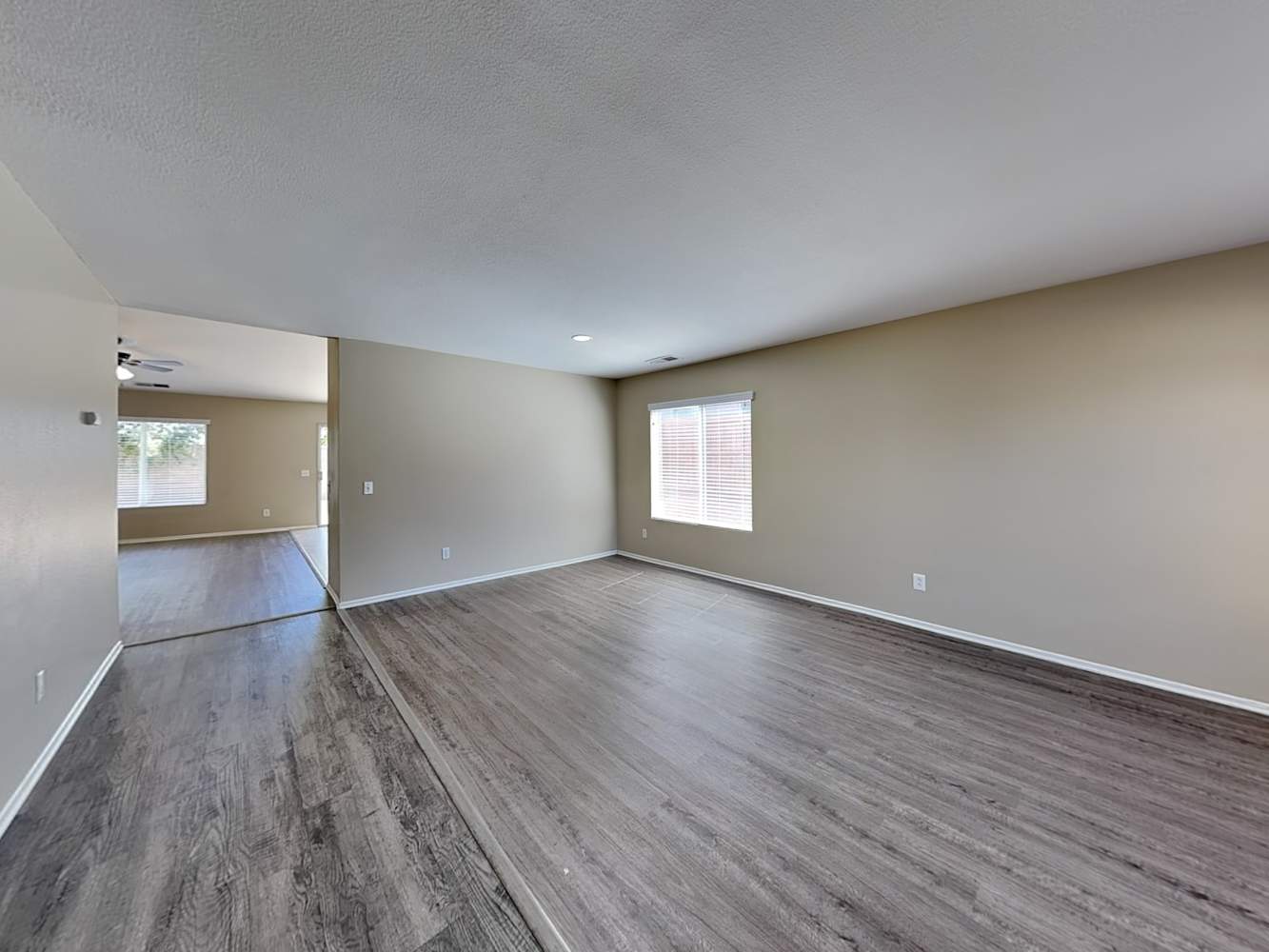 25375 Mountain Springs St photo 3