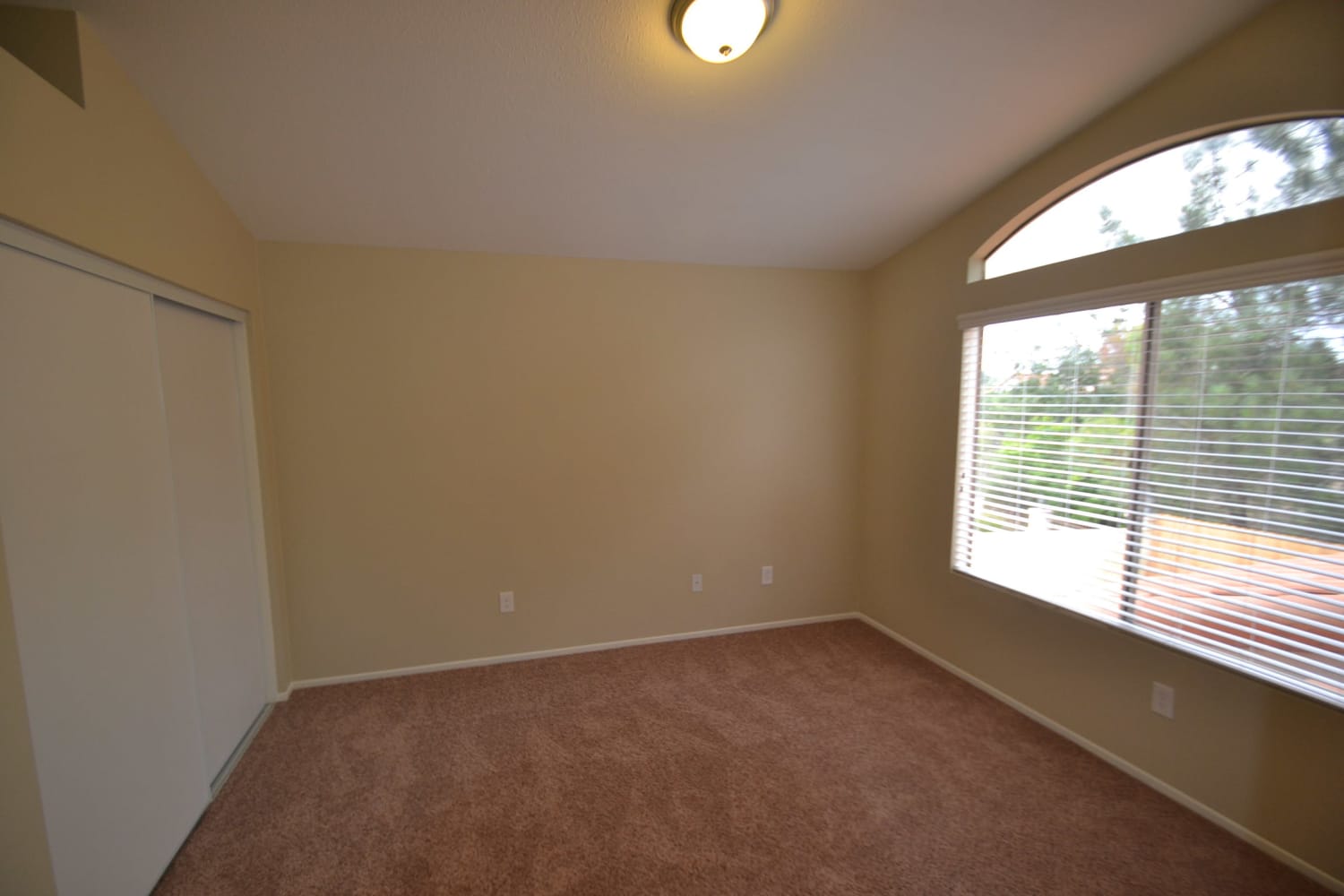 36257 Saint Raphael Dr photo 5