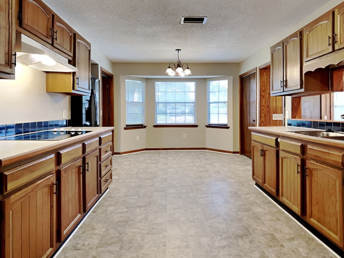 12507 Muscovy Dr photo 5