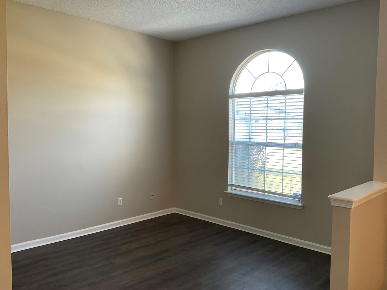 12243 Mantle Dr photo 4