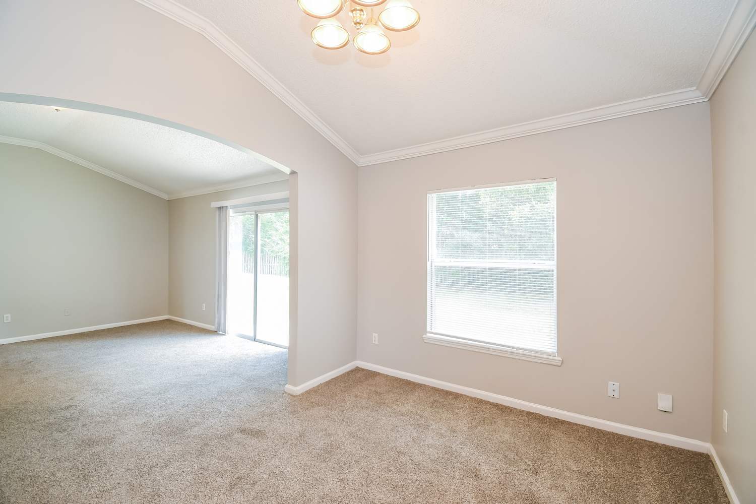 9294 Thunderbolt Dr photo 5