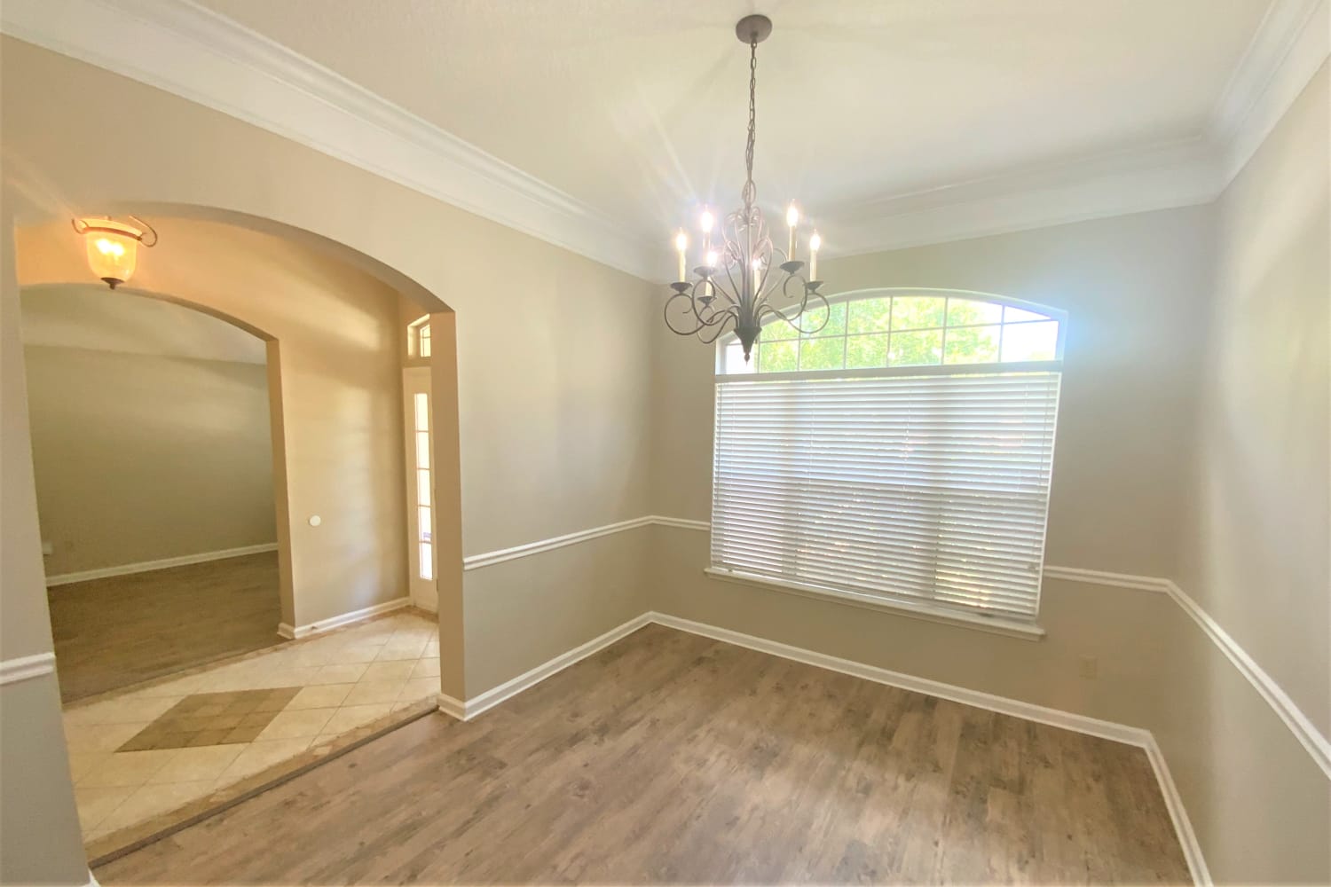 8678 Canopy Oaks Dr photo 2