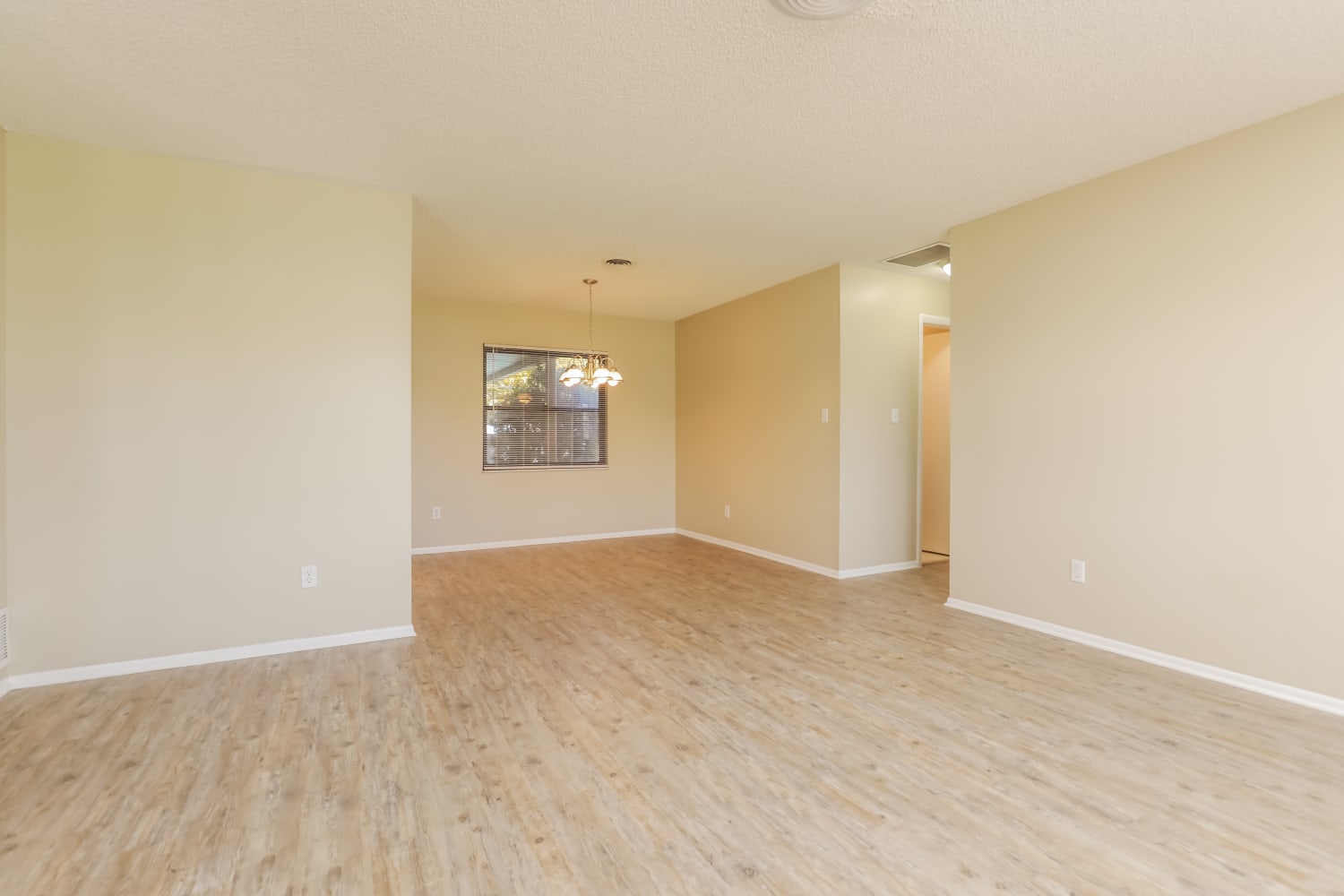 10948 Tangora St photo 3