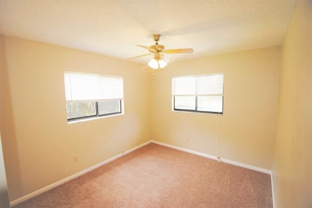 9413 Lake Douglas Pl photo 5