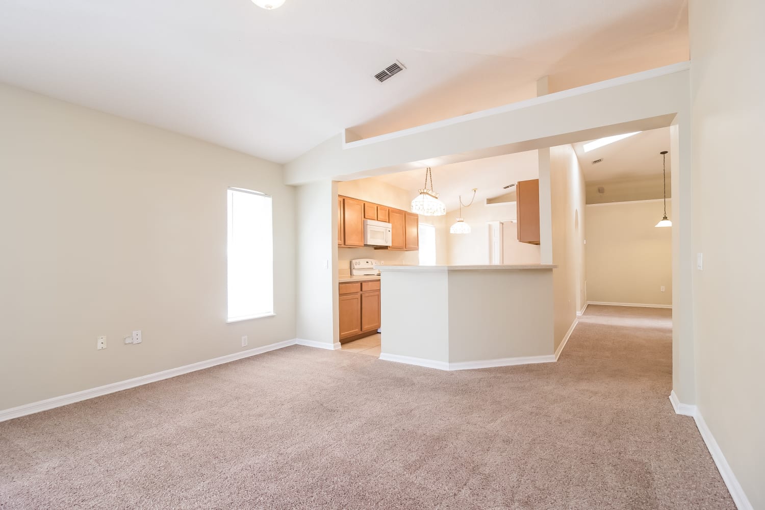 839 Delfino Pl photo 4