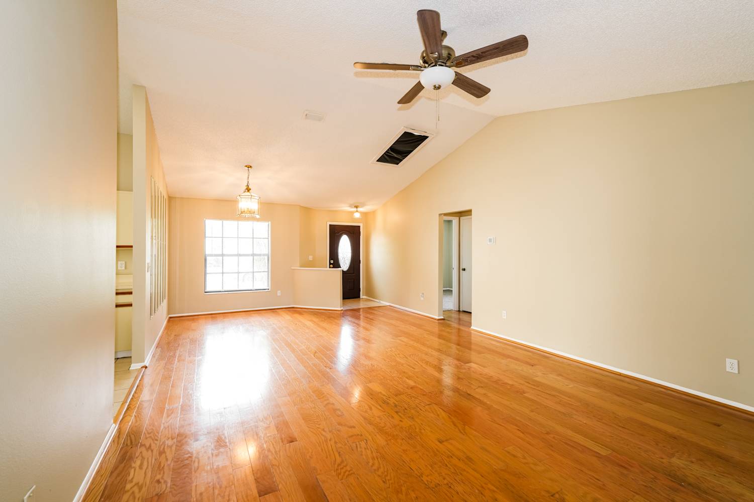 8916 Bayaud Dr photo 4