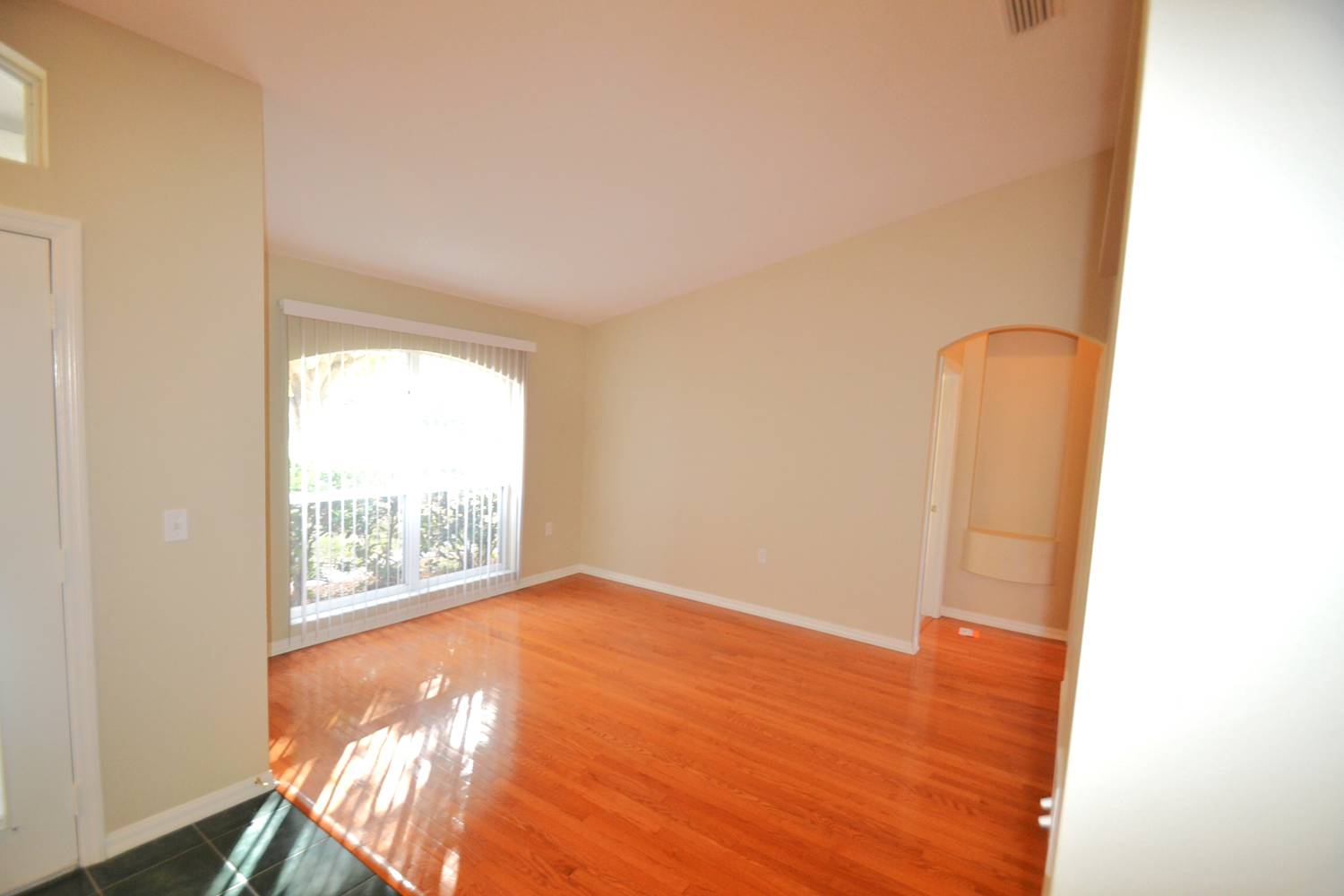 10506 Juliano Dr photo 3