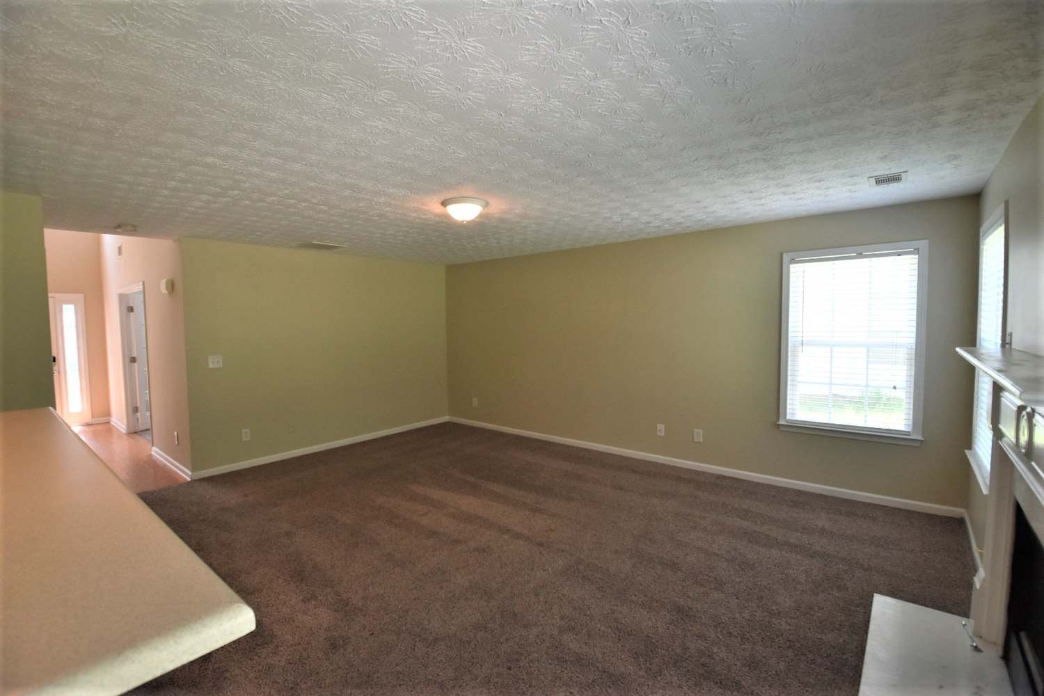 3781 Bogan Mill Rd photo 4