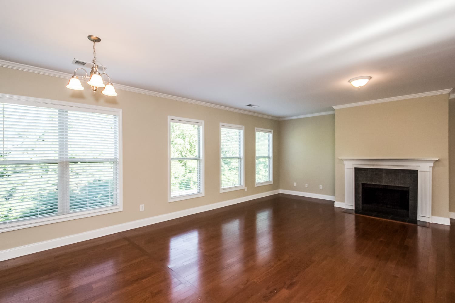 3602 Huddlestone Ln photo 5