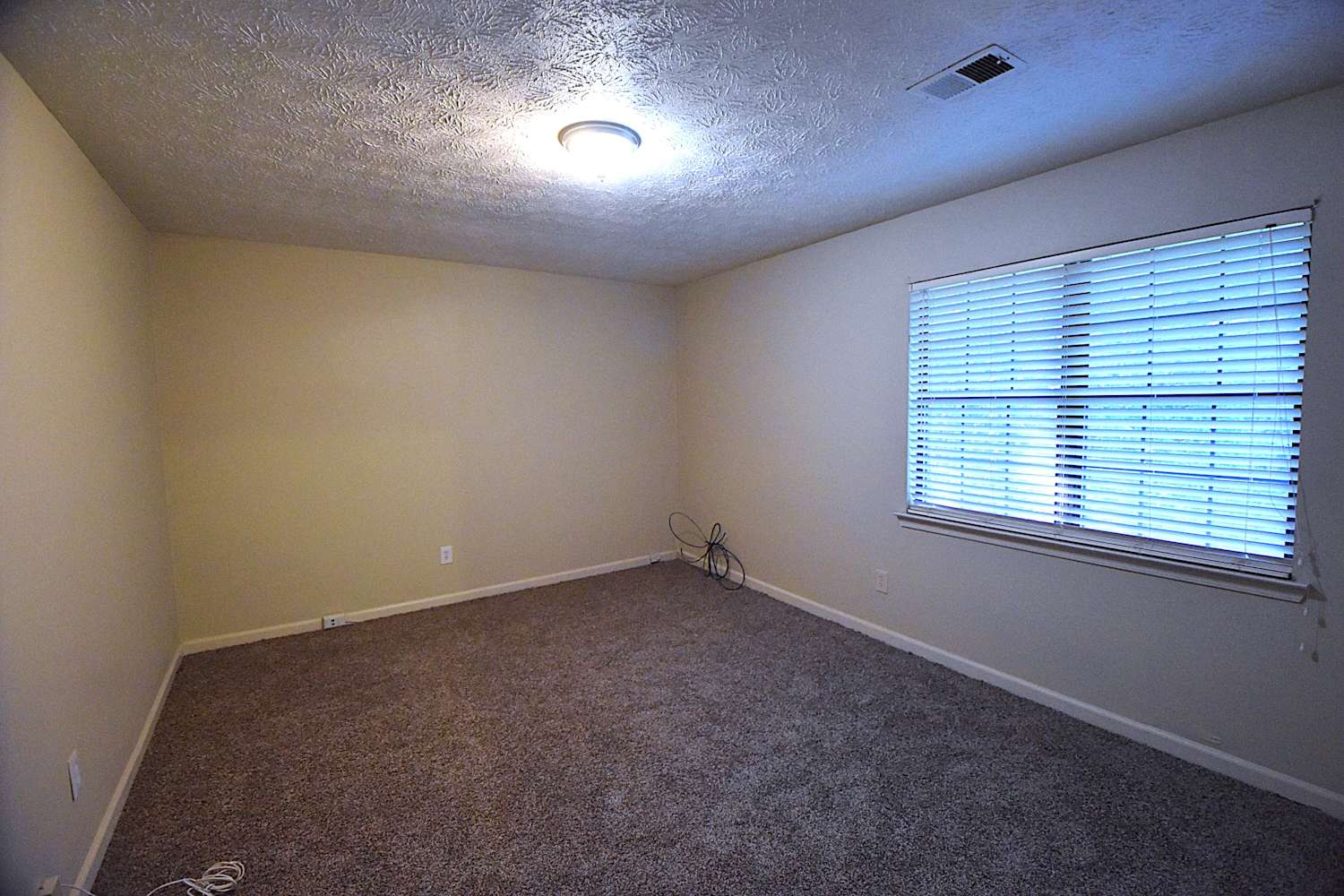 113 Carrollwood Dr photo 5
