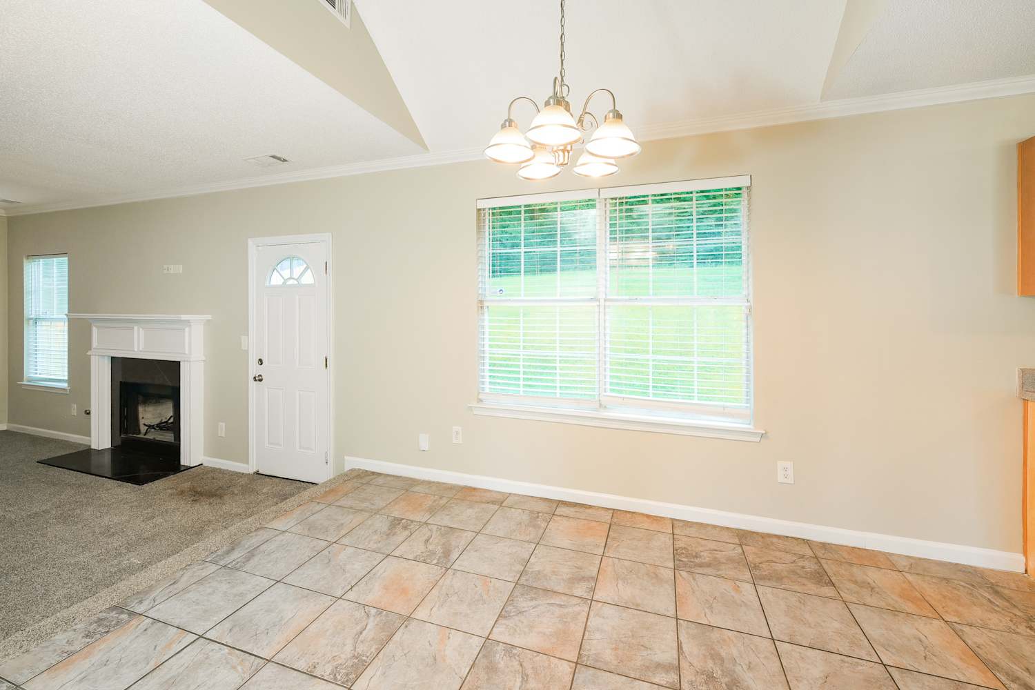 3668 Gray Birch Dr photo 5