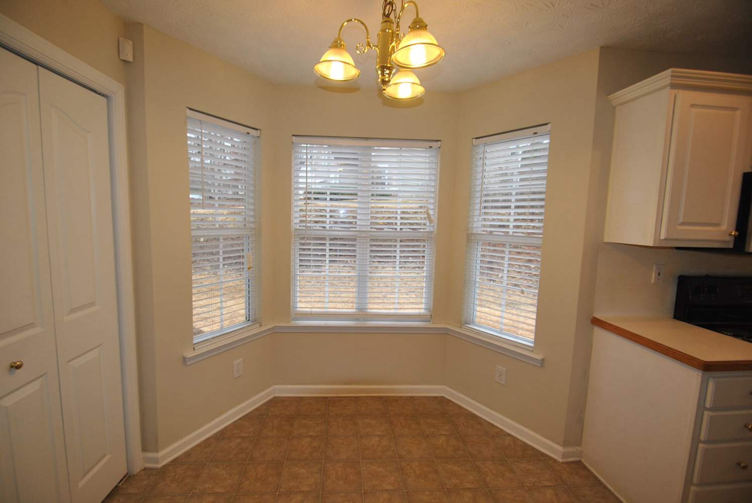 65 Shelby Oaks Trl photo 3