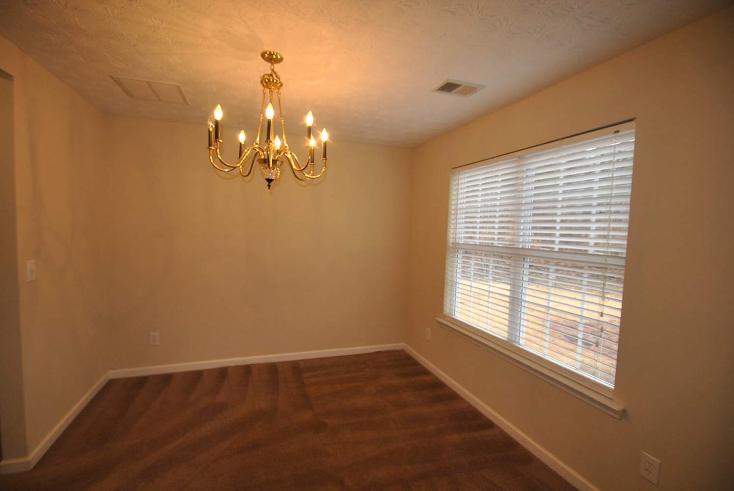 65 Shelby Oaks Trl photo 5