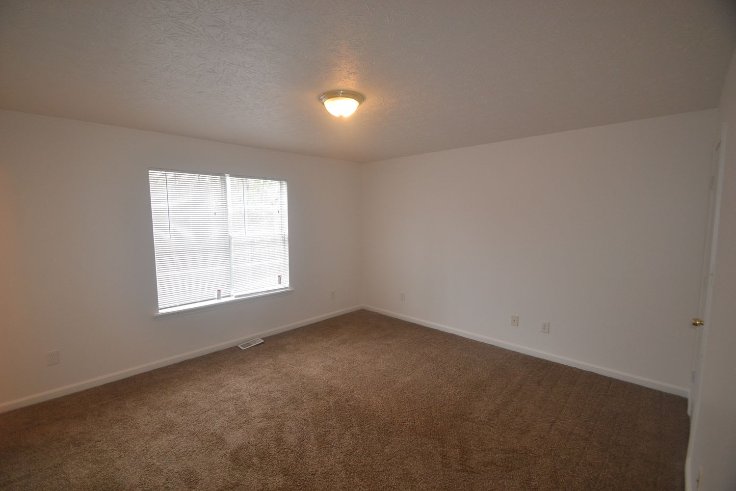 295 Rustin Dr photo 5
