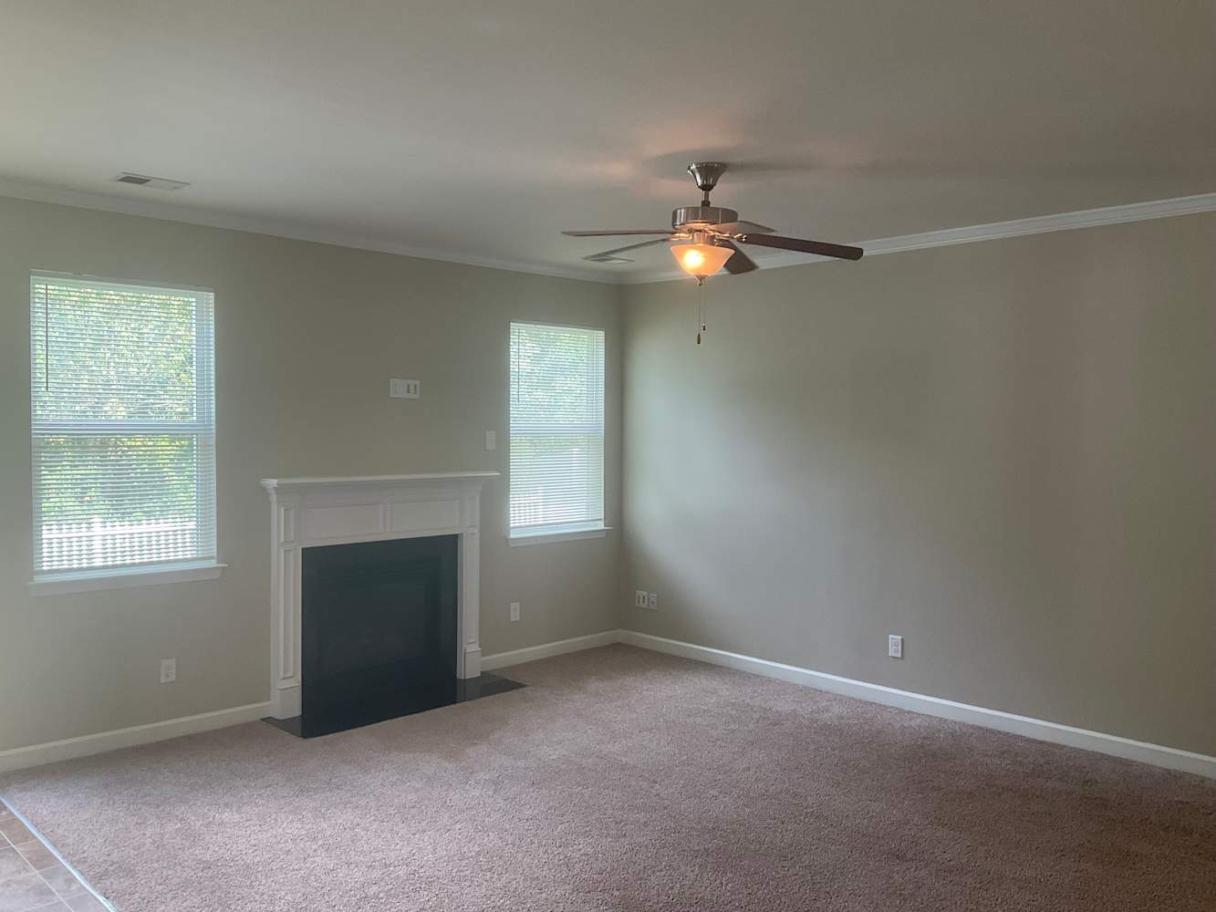 17124 Caldwell Track Dr photo 3
