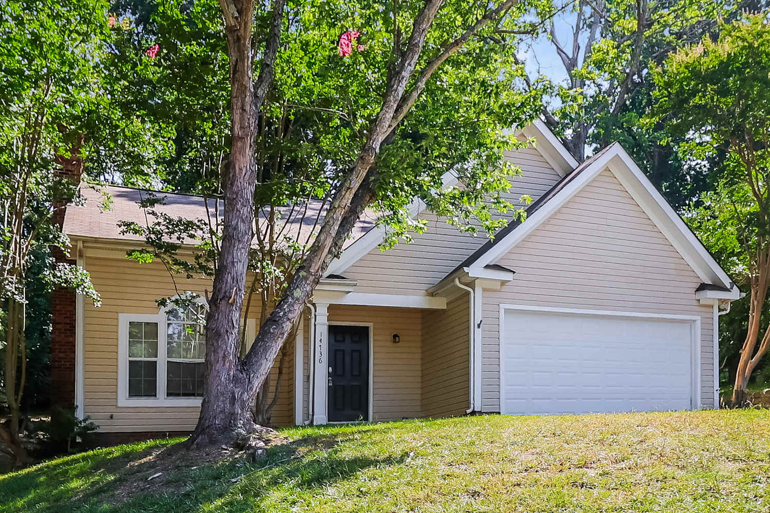 14736 Sapphire Ln photo 4