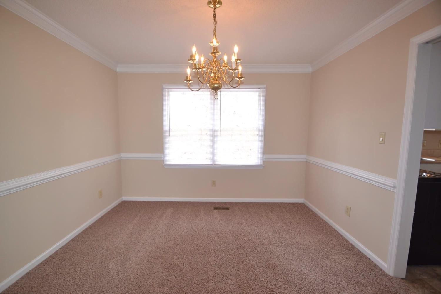 2329 Century Oaks Ln photo 4